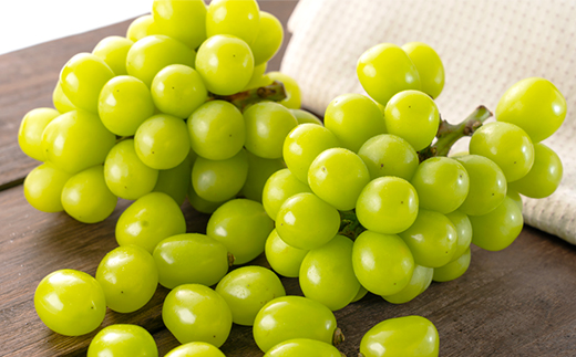 1066.【先行受付】訳あり大粒シャインマスカット2～4房(9月下旬～12月下旬頃発送予定)