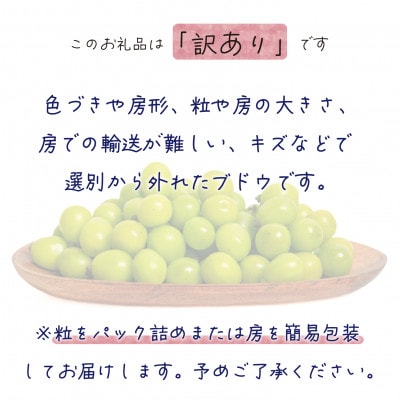 【2026年先行受付】岡山　花笑み農園『訳ありシャインマスカット』1kg　WS-1【配送不可地域：離島】