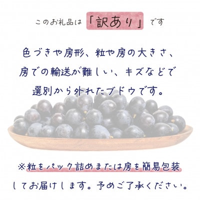 【2026年先行受付】岡山　花笑み農園のブドウ『訳ありBKシードレス』1kg　WB-1【配送不可地域：離島】