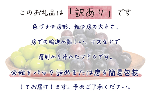 【2026年先行受付】岡山　花笑み農園のブドウ『訳あり2種MIX』1kg　W2M-1【配送不可地域：離島】
