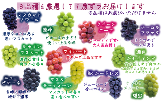 【2026年先行受付】岡山　花笑み農園の『10月おすすめ3種』優品　1.8kg(3房)3M-2L優【配送不可地域：離島】