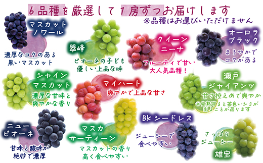 【2026年先行受付】岡山　花笑み農園のブドウ『食べ比べ6種セット』6M-5【配送不可地域：離島】