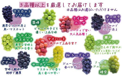 【2026年先行受付】岡山　花笑み農園『ブドウの宝石箱』3種以上(18粒入り)　3M-宝18【配送不可地域：離島】