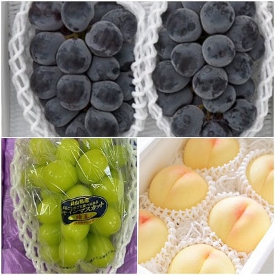 【発送月固定定期便】岡山県産  フルーツ定期便全3回【配送不可地域：離島・北海道・沖縄県】