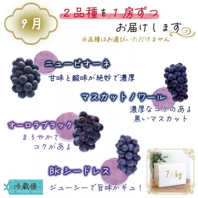【発送月固定定期便】岡山　花笑み農園のブドウ食べ比べ　全4種全2回【配送不可地域：離島】