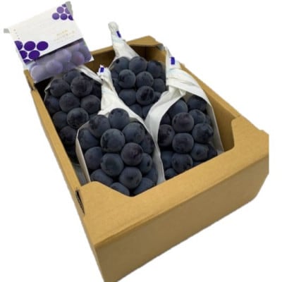 【2026年発送】岡山県産　ニューピオーネ4房(1房480g以上) 【配送不可地域：離島】