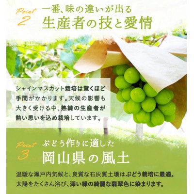 岡山県産 シャインマスカット『晴王』3～5房 (約2kg)【配送不可地域：離島】