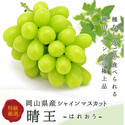【2026年発送】ぶどう詰合/ニューピオーネ2房・シャインマスカット晴王2房(各1房480g以上)【配送不可地域：離島】