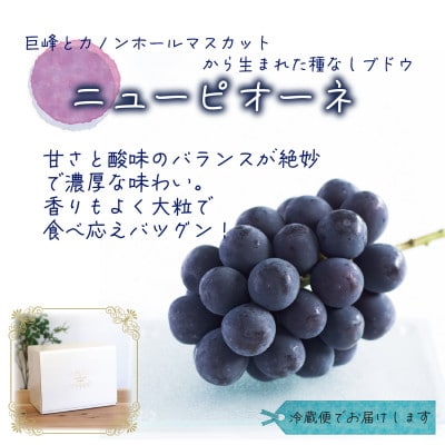 【2026年先行受付】岡山　花笑み農園の 『訳ありニューピオーネ』1kg　WP-1【配送不可地域：離島】