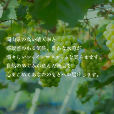 2026年発送【完熟朝採り】訳あり シャインマスカット 2.0kg以上【配送不可地域：離島】