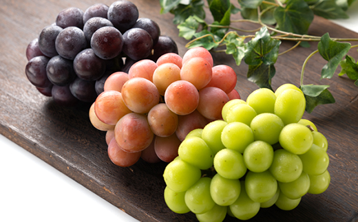 1061.【先行受付】特選大粒ぶどう3種セット(シャインマスカット入り)9月末～12月末発送予定