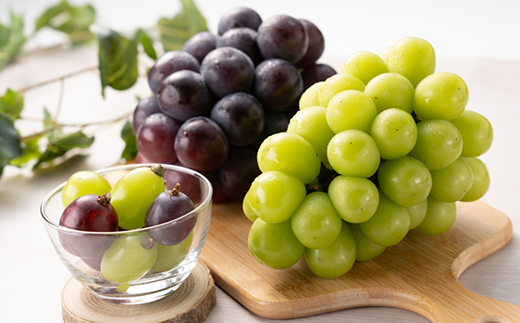 1062.【先行受付】特選大粒ぶどう2種セット(シャインマスカット入り)9月末～12月末発送予定