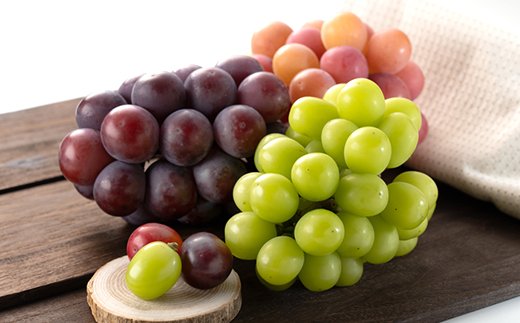 1064.【先行受付】訳あり大粒ぶどう3種セット(9月下旬～12月下旬発送予定)