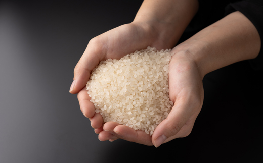 【令和7年産】新米コシヒカリ 村の「一等米」(精米5kg×1袋) 岡山県産のお米