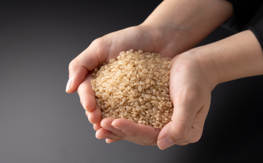 【令和7年産】新米コシヒカリ 村の「一等米」(玄米5kg×1袋) 岡山県産のお米