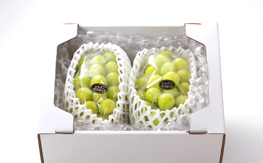 1065.【先行受付】特選大粒シャインマスカット2～4房(9月下旬～12月下旬頃発送予定)