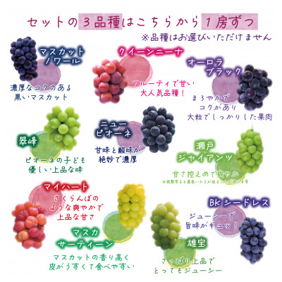 【2026年先行受付】岡山　花笑み農園の『食べ比べ4種』シャイン入り　贈答用　2kg(4房)4M-2【配送不可地域：離島】