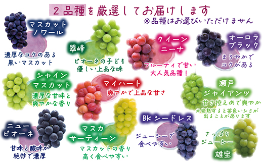 【2026年先行受付】岡山　花笑み農園のブドウ『訳あり2種MIX』1kg　W2M-1【配送不可地域：離島】