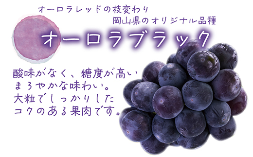 【2026年先行受付】岡山　花笑み農園の『ニューピオーネ＆オーロラブラック』1kg(2房)PA-1【配送不可地域：離島】