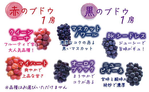 【2026年先行受付】岡山　花笑み農園のブドウ『彩り3種セット』贈答用　1.8kg(3房)3M-2上【配送不可地域：離島】