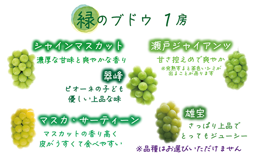 【2026年先行受付】岡山　花笑み農園のブドウ『彩り3種セット』家庭用　1.8kg(3房)3M-2家【配送不可地域：離島】