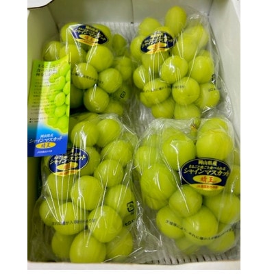 岡山県産 シャインマスカット『晴王』3～5房 (約2kg)【配送不可地域：離島】