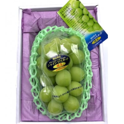 岡山県産 シャインマスカット『晴王』1房(800g以上) 化粧箱入り【配送不可地域：離島】