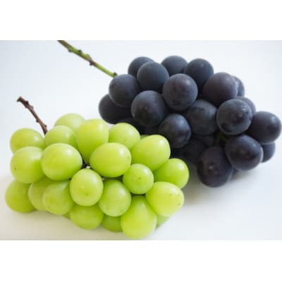 【2026年発送】ぶどう詰合/ニューピオーネ2房・シャインマスカット晴王2房(各1房480g以上)【配送不可地域：離島】