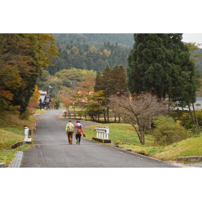 新庄村　森林セラピー体験チケット(1名様分)