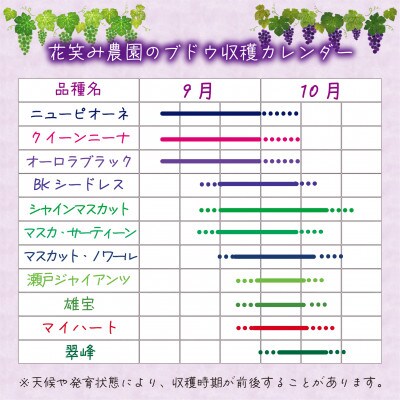 【2026年先行受付】岡山　花笑み農園のブドウ『園主おすすめシャイン親子セット』【配送不可地域：離島】