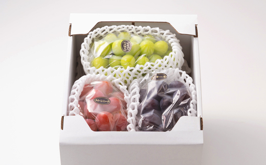 1061.【先行受付】特選大粒ぶどう3種セット(シャインマスカット入り)9月末～12月末発送予定