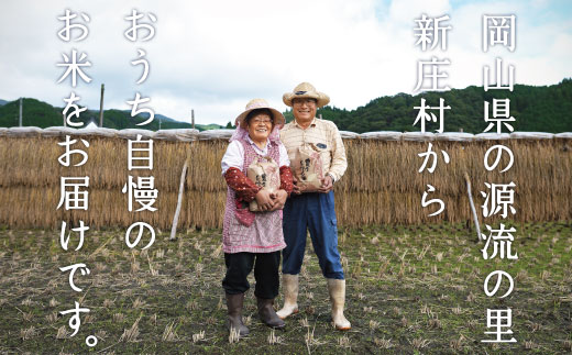【令和7年産】新米コシヒカリ 村の「一等米」(玄米5kg×1袋) 岡山県産のお米