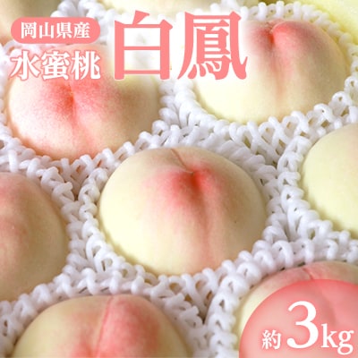 岡山県産「白鳳(水蜜桃)」約3kg|7月上旬頃～順次発送【配送不可地域：離島】