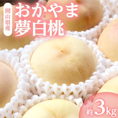 岡山県産「おかやま夢白桃」約3kg|7月下旬頃～順次発送【配送不可地域：離島】