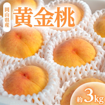 岡山県産「黄金桃」約3kg|8月下旬頃～発送予定【配送不可地域：離島】