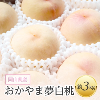岡山県産「おかやま夢白桃」約3kg|2026年7月下旬以降発送予定