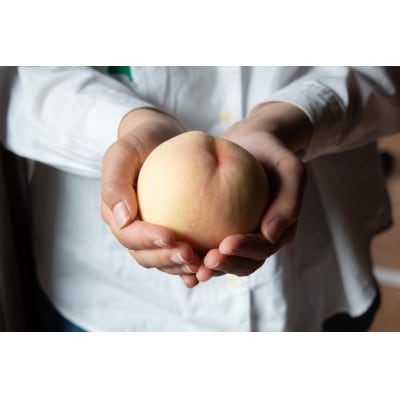 岡山県産「おかやま夢白桃」約2kg|2026年7月下旬以降順次発送予定