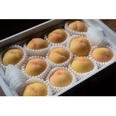 岡山県産「清水白桃」約3kg|2026年7月下旬以降順次発送予定