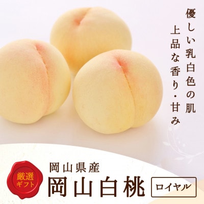 【2026年発送】岡山県産　白桃 5玉 (1.5kg以上) 等級:ロイヤル 木箱入り【配送不可地域：離島・北海道・沖縄県】
