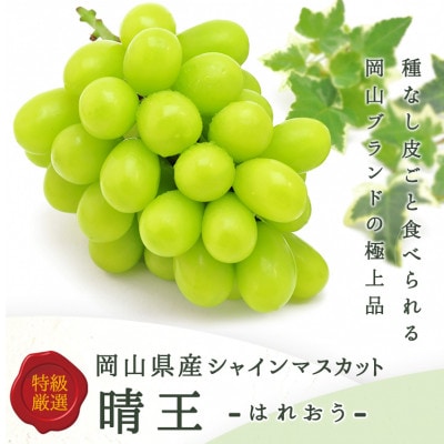 岡山県産 シャインマスカット『晴王』2房(1房480g以上) 化粧箱入り【配送不可地域：離島】