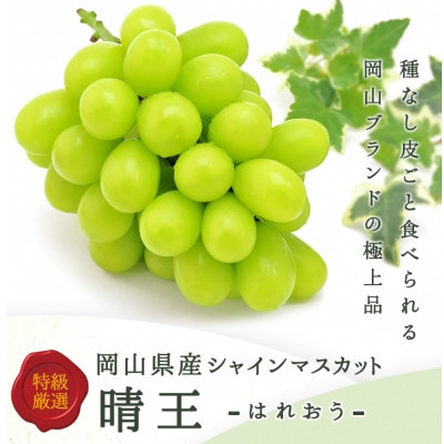 岡山県産 シャインマスカット『晴王』1房(800g以上) 化粧箱入り【配送不可地域：離島】