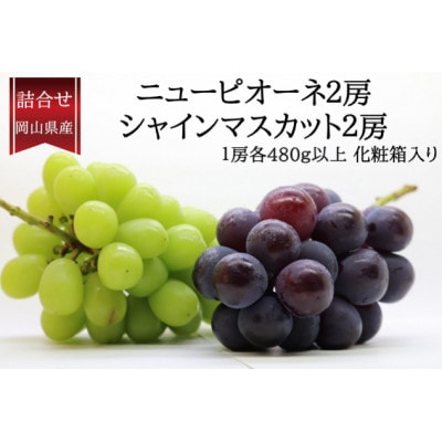 【2026年発送】ぶどう詰合/ニューピオーネ2房・シャインマスカット晴王2房(各1房480g以上)【配送不可地域：離島】