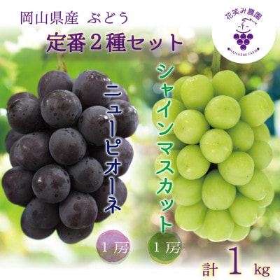 【2026年先行受付】岡山　花笑み農園の『ニューピオーネ＆シャインマスカット』1kg(2房)PS-1【配送不可地域：離島】