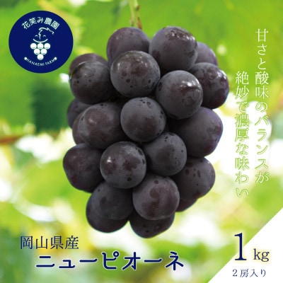 【2026年先行受付】岡山　花笑み農園の『ニューピオーネ』1kg(2房)P-1【配送不可地域：離島】