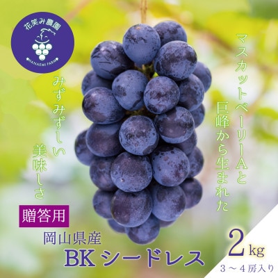【2026年先行受付】岡山　花笑み農園の『BKシードレス』贈答用　約2kg(3～4房)　B-2上【配送不可地域：離島】