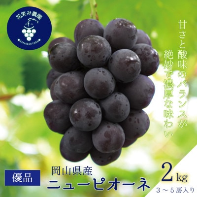 【2026年先行受付】岡山　花笑み農園の『ニューピオーネ』優品　約2kg(3～5房)P-2優【配送不可地域：離島】