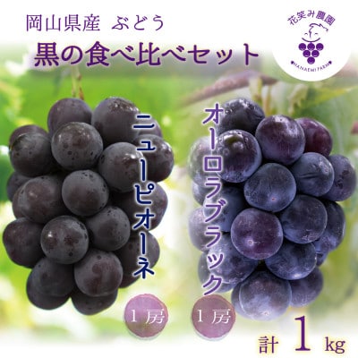 【2026年先行受付】岡山　花笑み農園の『ニューピオーネ＆オーロラブラック』1kg(2房)PA-1【配送不可地域：離島】
