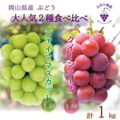 【2026年先行受付】岡山　花笑み農園の『クイーンニーナ＆シャインマスカット』1kg　QS-1【配送不可地域：離島】