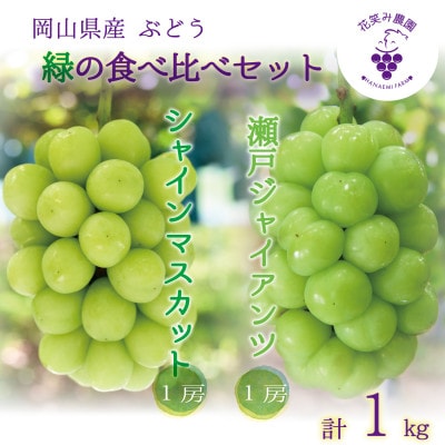 【2026年先行受付】岡山　花笑み農園の『瀬戸ジャイアンツ＆シャインマスカット』1kg　GS-1【配送不可地域：離島】