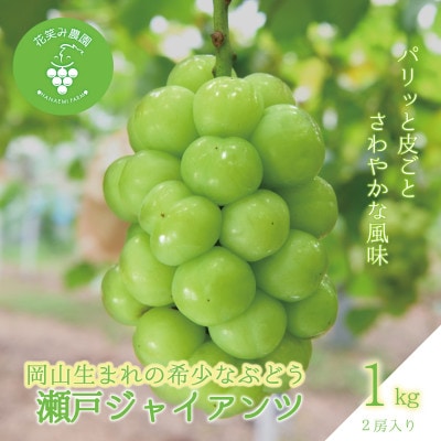 【2026年先行受付】岡山　花笑み農園の『瀬戸ジャイアンツ』1kg(2房)　G-1【配送不可地域：離島】